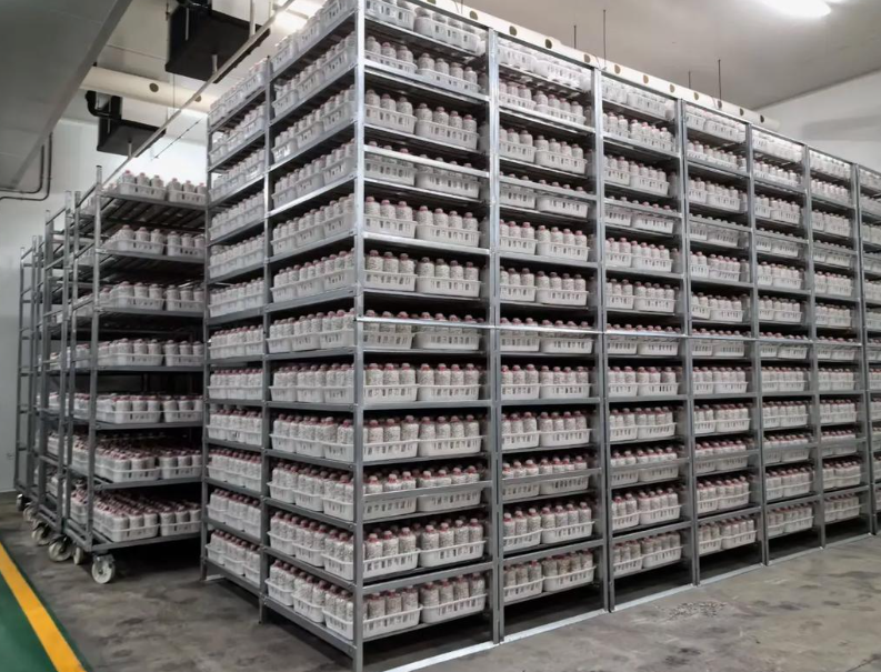 Empowering the Upgrading of Modern Edible Fungus Cultivation